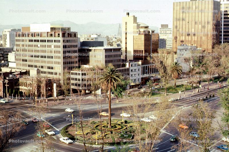 Cars, buildings, roundabout, palm trees