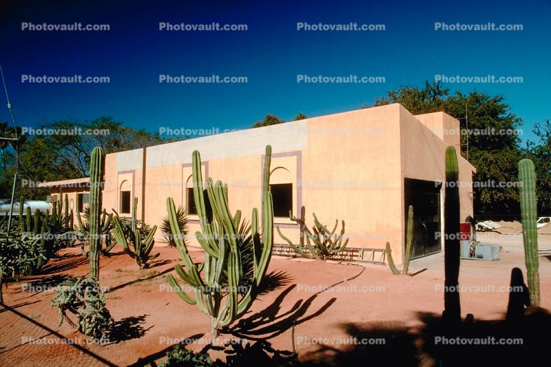 Building, Cactus Garden, Cabo San Lucas