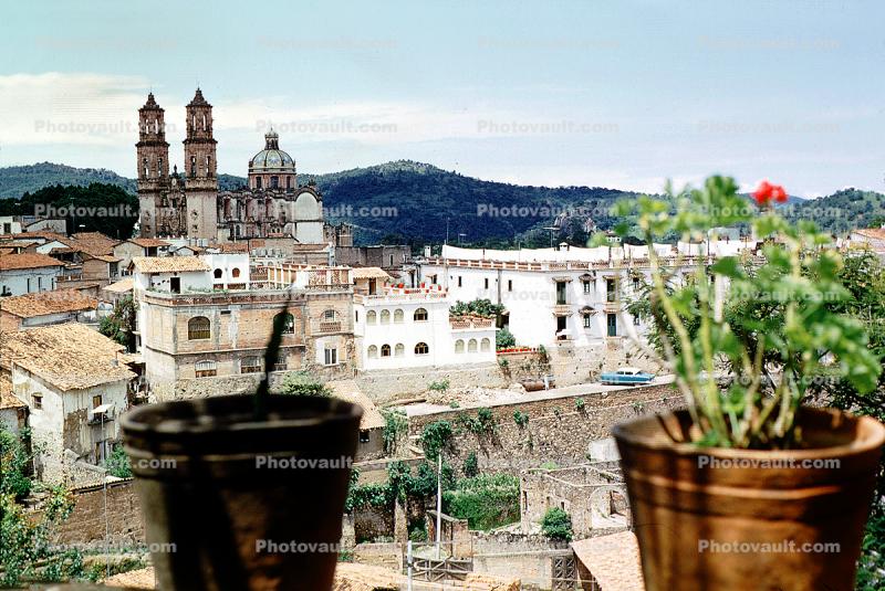 cityscape, flowers, Cathedral, hills, buildings, Taxco