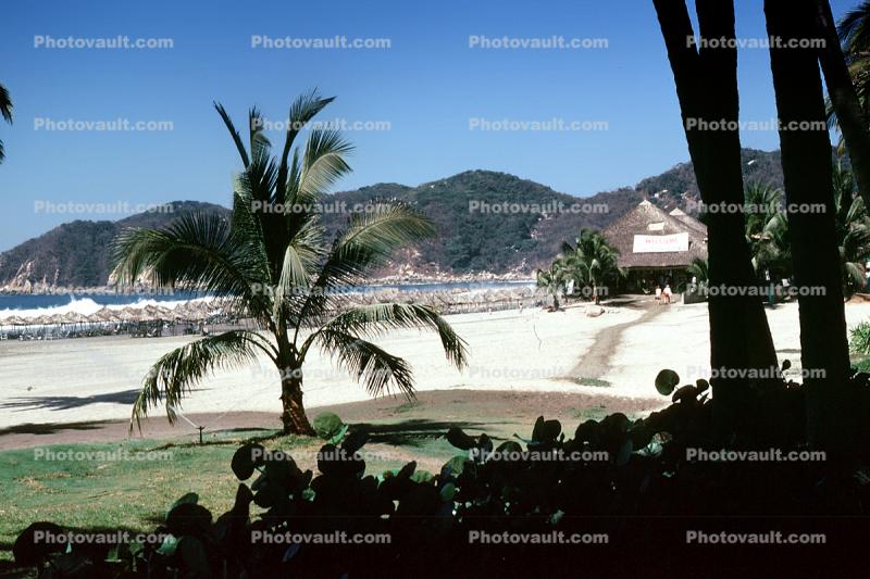 Acapulco Princess Hotel, Beach