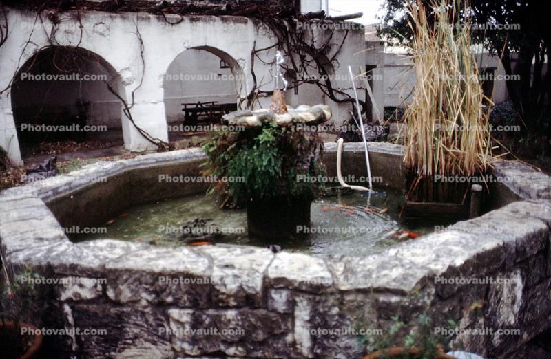 Goldfish Pond, Water Fountain, aquatics, Reynosa, Tamaulipas