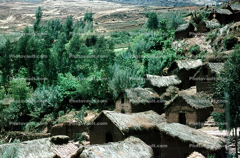 building, homes, houses, hillside, grass thatched roofs, trees, shantytown, Sod
