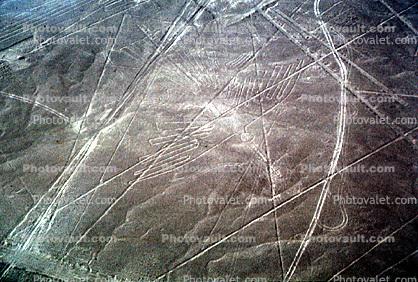Nazca, Nazca Lines, Plains