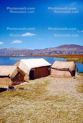 Totora Reeds, Uros Island, Lake Titicaca