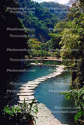 walkway, path, stepping stones, lake, pond, gardens
