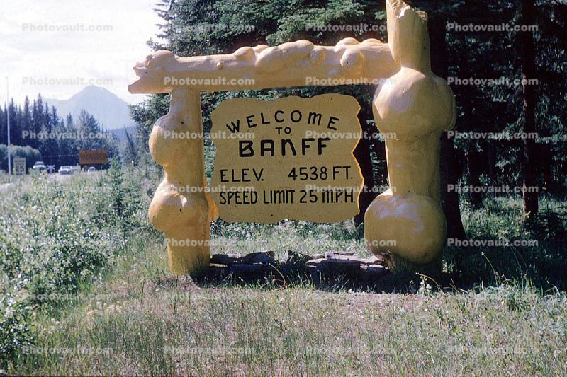 Welcome to Banff, Thick Burly Wood