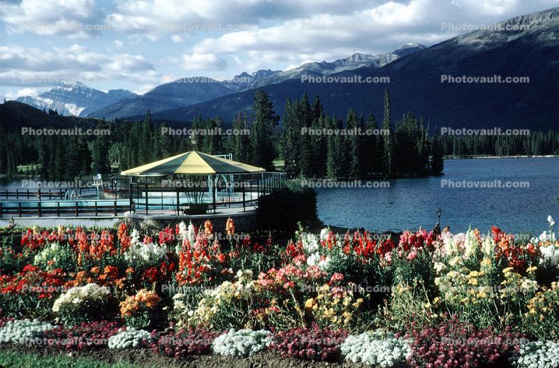 Gardens, blooming flowers, Lake, Mountains, Banff