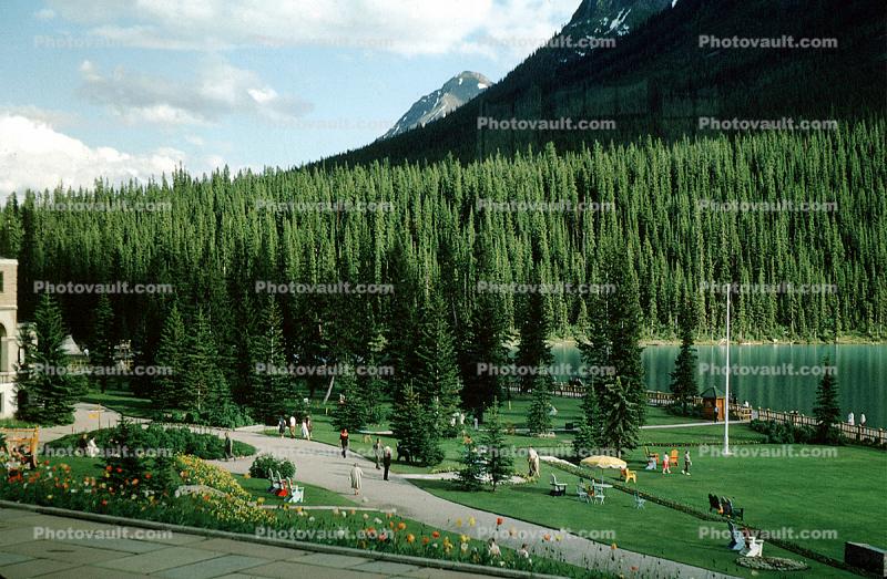 Lake Louise, Mountains, Forest, Lawn, Path, Flowers, Banff, Woodland, Trees