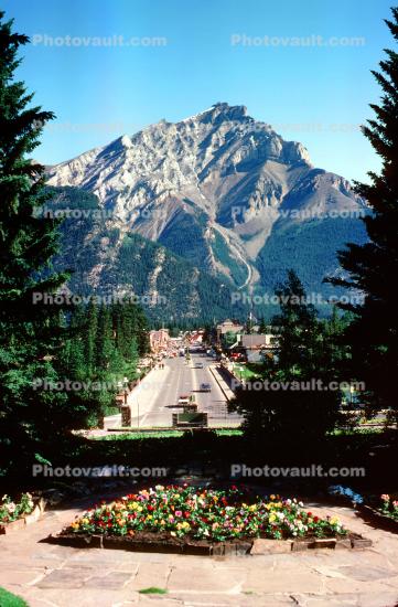 Banff Avenue, flower garden, highway, Cascade Mountain, Banff