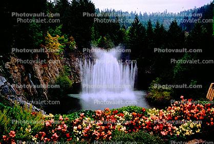 Garden, flowers, Water Fountain, aquatics, trees, The Butchart Gardens, Vancouver