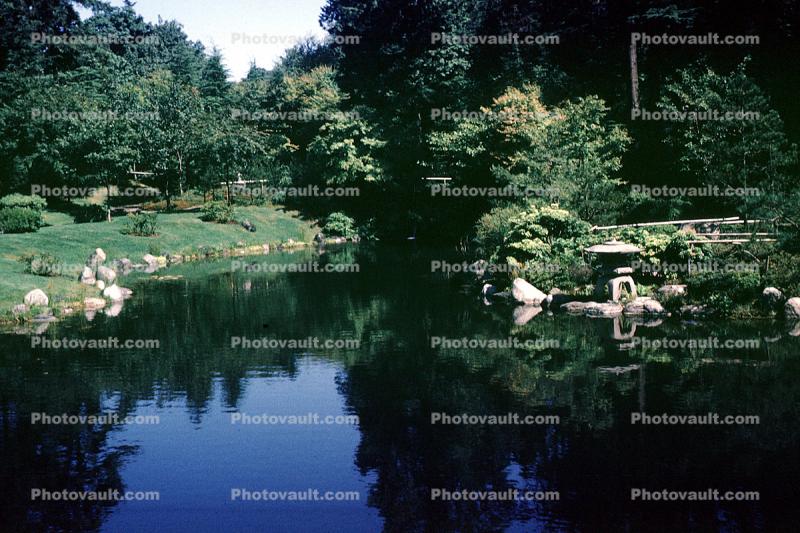Pond, Nitobe Memorial Garden, Vancouver
