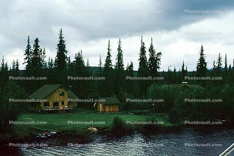 Chena River, British Columbia, Woodland, Trees