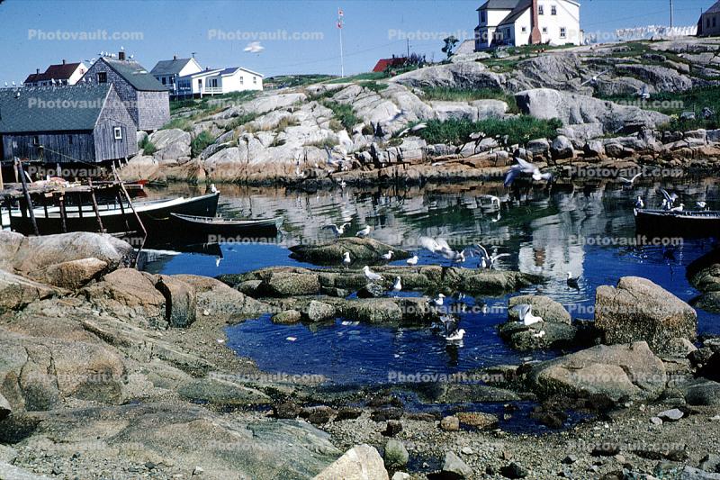 Bay, houses, homes, buildings, harbor, boats, dock, rocks, tide, Peggy's Cove, Nova Scotia