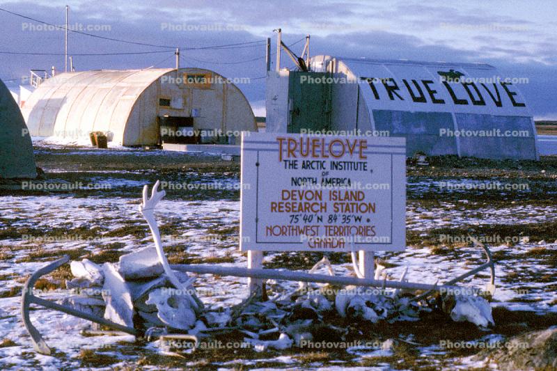 Truelove, The Arctic Institute, Devon Island Research Station, Quonset Hut, Ice, Cold, Snow, fjord, building