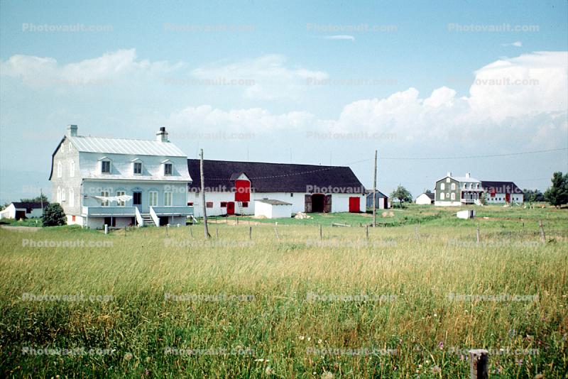 Homes, houses, Gaspe Quebec, June 1964, 1960s