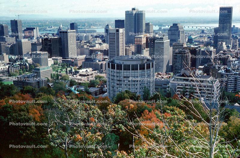 skyline, buildings, Montreal