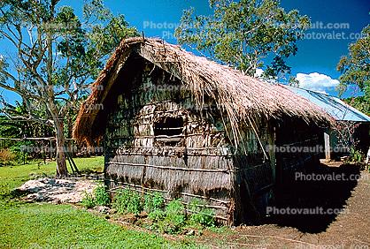 thatched roof house, Grass House, Home, Building, Sod
