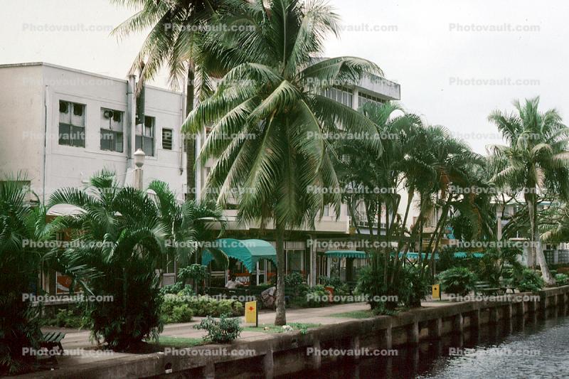 Nubukalou Creek, Palm Trees, Buildings, Shops, Suva