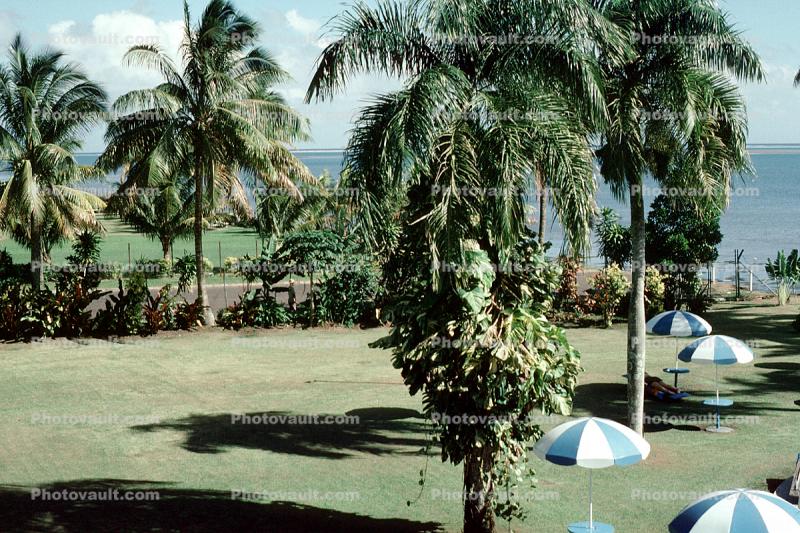 Grand Pacific Hotel, Gardens, Parasol, Trees, Suva