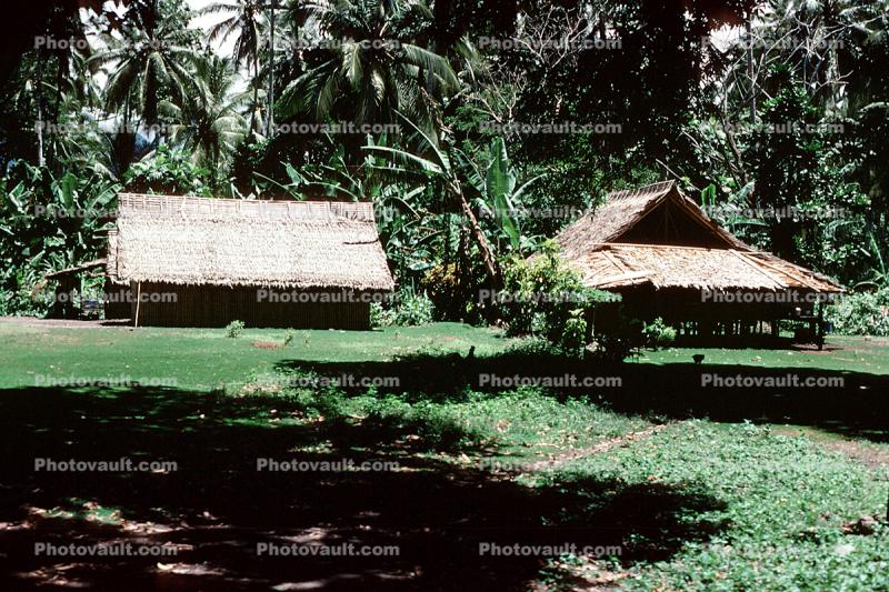 Home, Grass House, Jungle, rain forest, building, Guadalcanal
