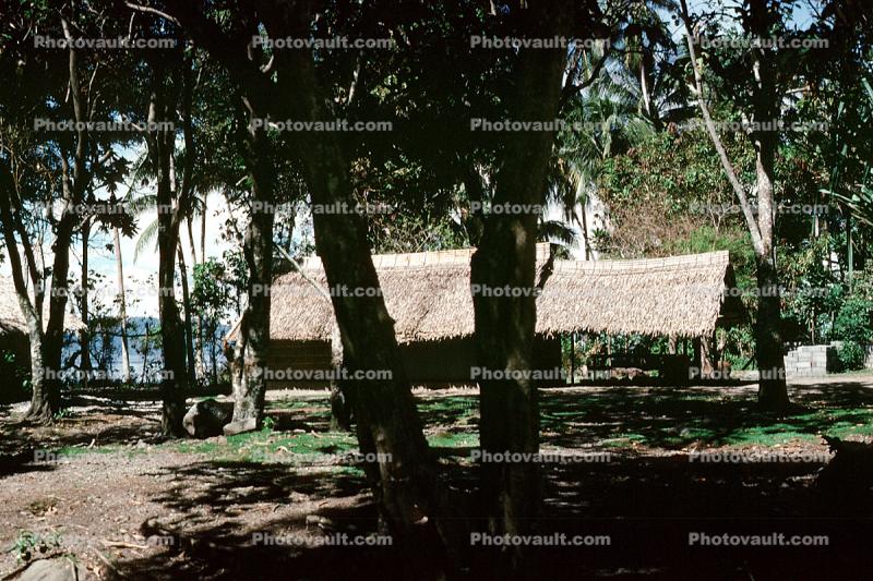 Home, Grass House, building, Guadalcanal