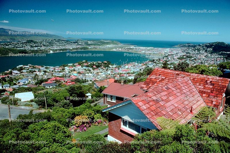 Red Roof, Harbor, Wellington
