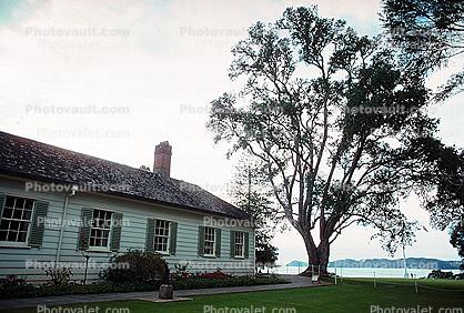 Signings of Treaty of Whaitangi, tree, building, home, house, monument