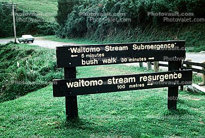 Waitomo Stream Submergance, Rotorua