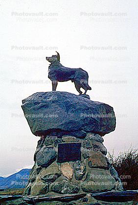 Collie Dog, Monument, Mackenzie County