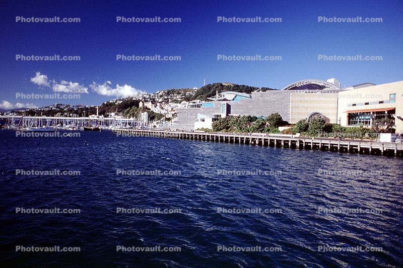 Waterfront, Hill, Harbor, Wellington, New Zealand