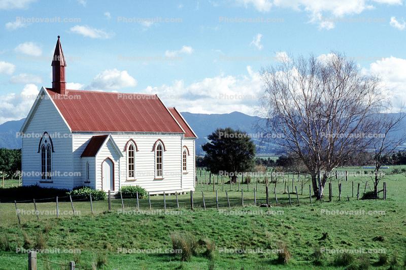 Church, Chapel, Bare Tree, Countryside, Rural, Cape Palliser