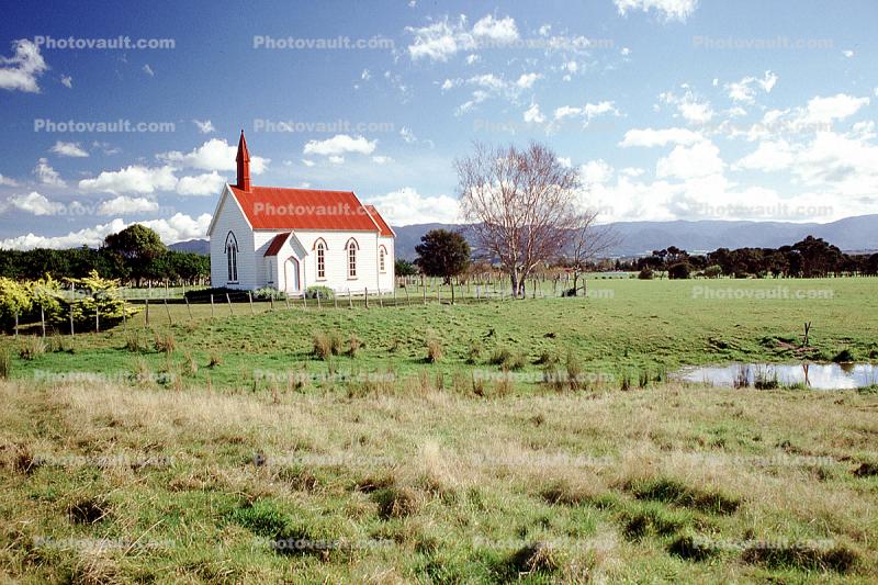Church, Chapel, Fields, Bare Tree, Countryside, Rural, Cape Palliser