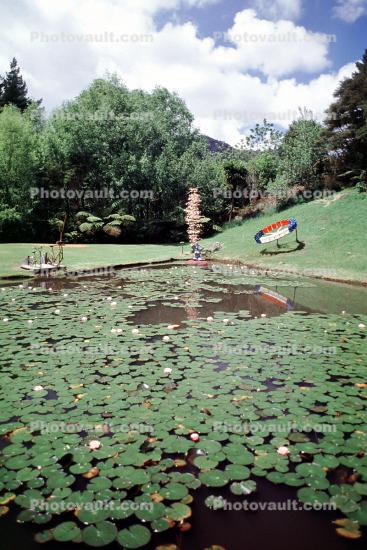 Lily Pads, Leaves, Pond, Garden, Coromandel Peninsula, Toadstools, broad leaved plant