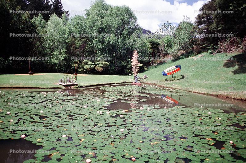 Coromandel Peninsula, Lily Pads, Leaves, Pond, Garden, Toadstools, broad leaved plant