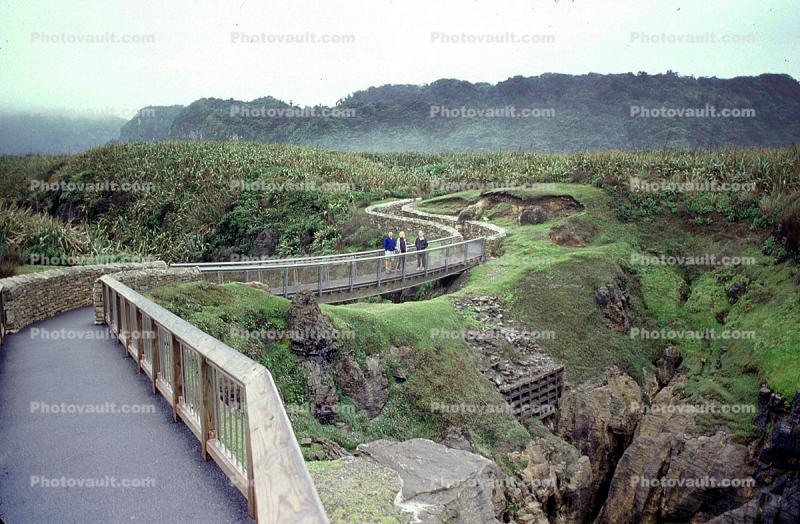 footpath, bridge, path, Punakaki