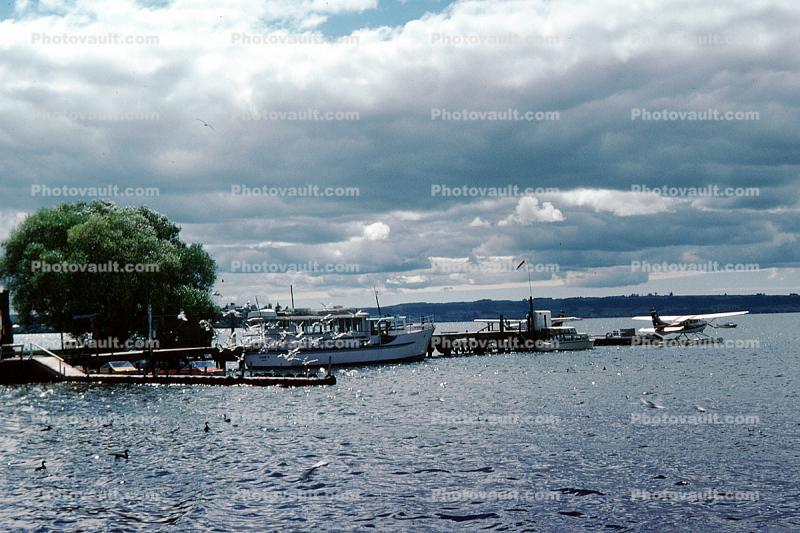 Dock, Harbor, Boats, Lake Rotorua