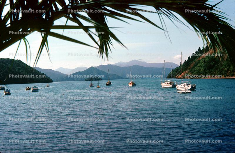 Picton Harbor, bay, boats, New Zealand