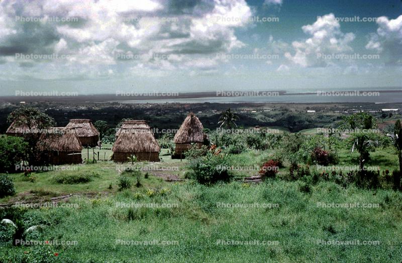 grass thatched huts, buildings, homes, Maori Village, Sod