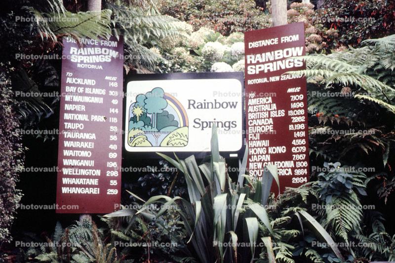 Rainbow Springs
