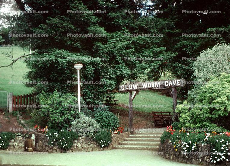 Glow Worm Cave entrance sign, steps, stairs, garden, flowers, trees