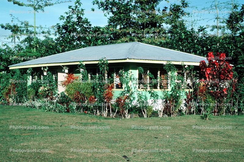 home, house, bush, building, Fale, Upolu, Samoa