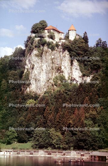 Castle, royalty, cliff, river, water, lake, trees, evergreen, building