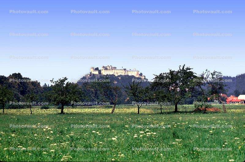 Fields, Hohensalzburg Castle, Salzburg
