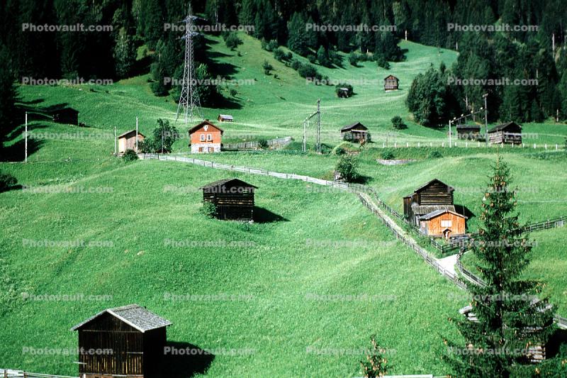 Village, homes, houses, grass, Building