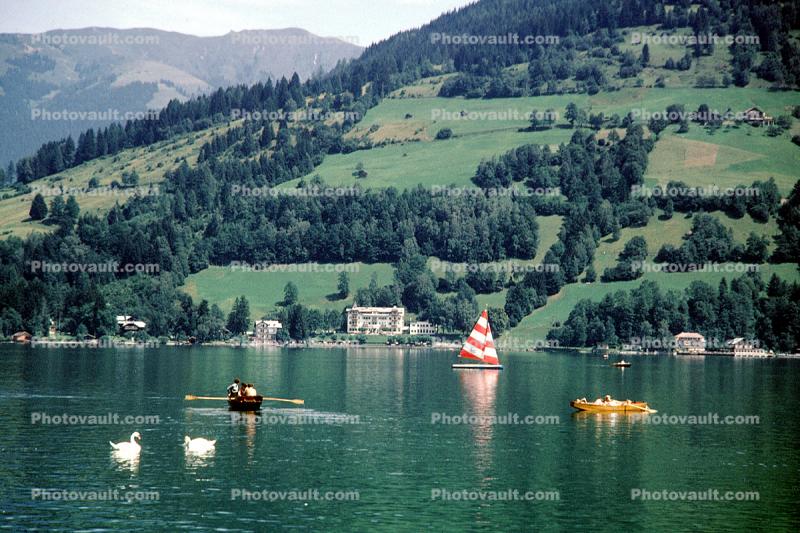 Zell am See, Alps, lake, water, river, swans, rowboat, sailboat, craft, mountains, nature, trees