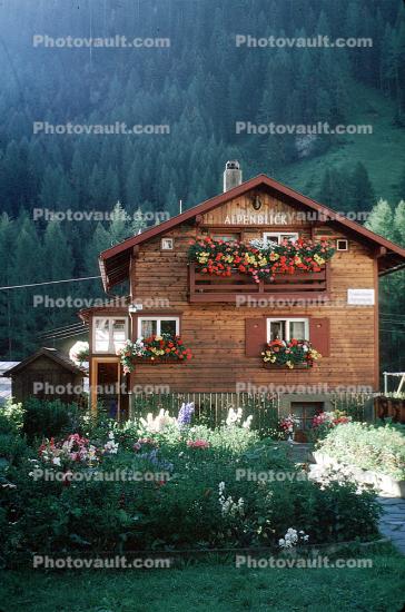 building, forest, Alpenblick, View of the Alps