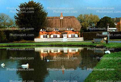 Cottage, Pond, Ducks, Bucolic, cottagecore