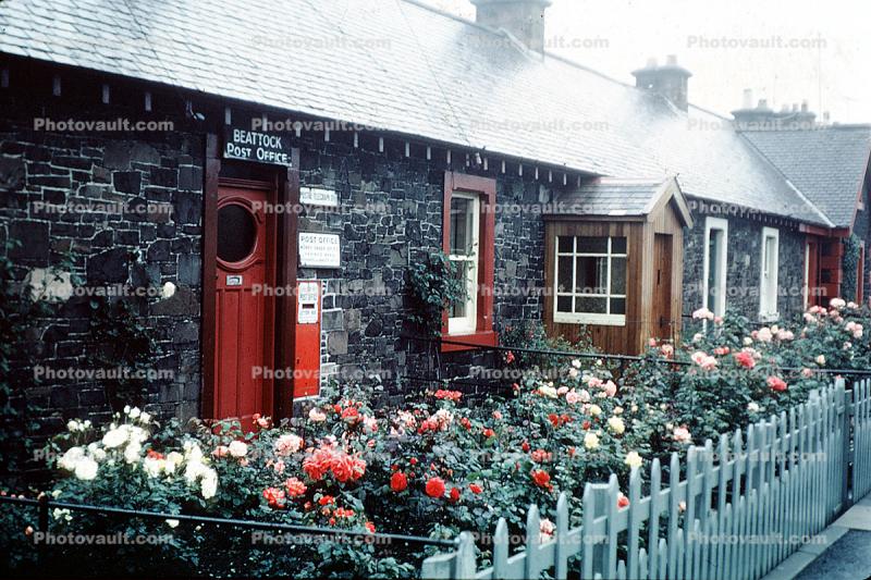 garden, rose, Post Office, Beattock