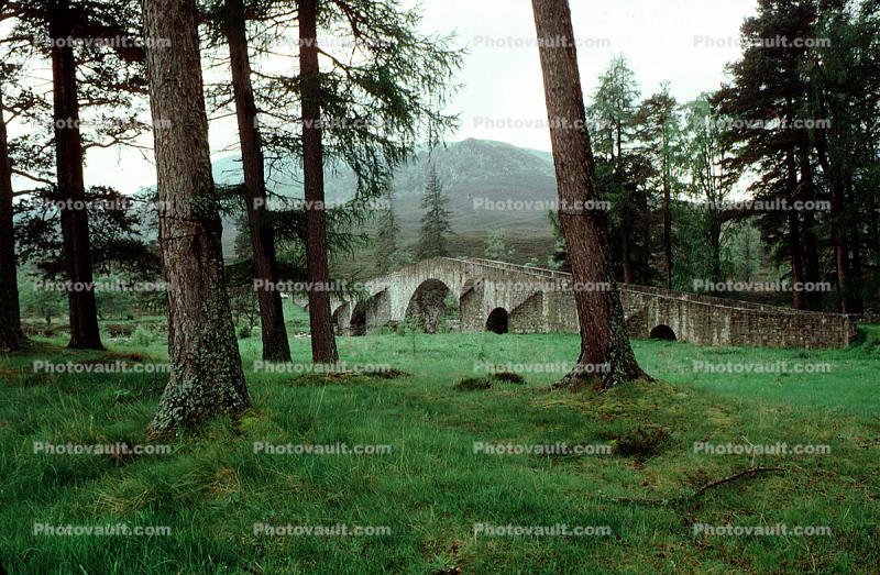 Forest, Bridge, Balmoral Castle, Aberdeenshire, Scotland
