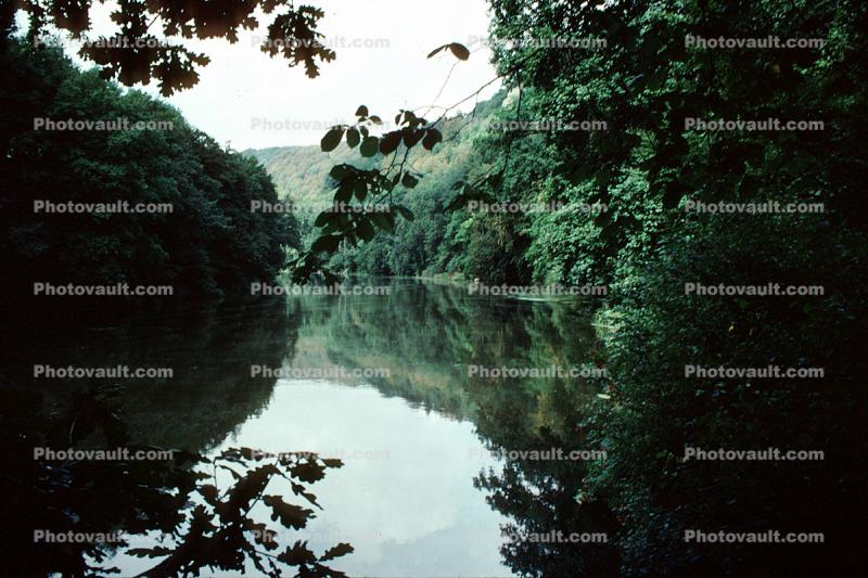 River, forest, reflection, Wye River, Scotland
